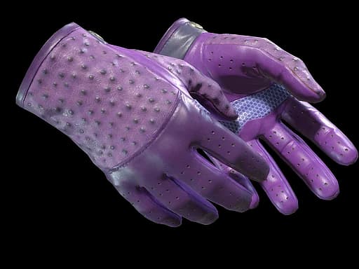 ★ Driver Gloves | Plum Quill