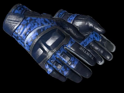 ★ Moto Gloves | Polygon