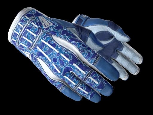 ★ Sport Gloves | Amphibious