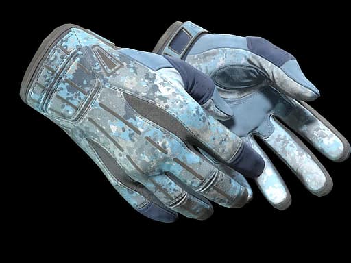 ★ Sport Gloves | Frosty