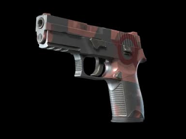 P250 | Constructivist
