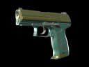 P2000 | Marsh