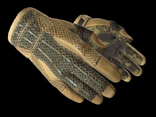 ★ Sport Gloves | Arid