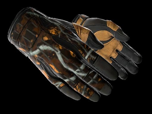 ★ Sport Gloves | Big Game