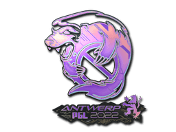 Sticker | Outsiders (Holo) | Rio 2022