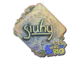 Sticker | siuhy (Holo) | Austin 2025