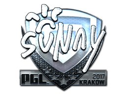Sticker | suNny (Foil) | Boston 2018