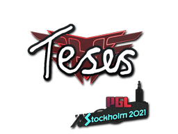 Sticker | TeSeS | Austin 2025