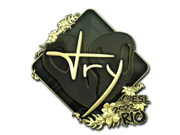 Sticker | TRY (Gold) | Austin 2025