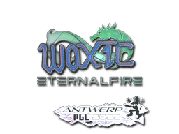 Sticker | woxic (Holo) | Austin 2025