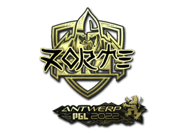 Sticker | zorte (Gold) | Austin 2025