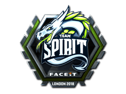 Sticker | Spirit (Foil) | 2020 RMR