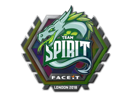 Sticker | Team Spirit (Holo) | Rio 2022
