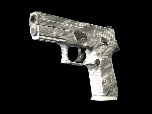 P250 | Sleet