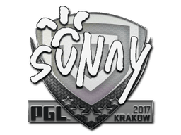 Sticker | suNny | Boston 2018
