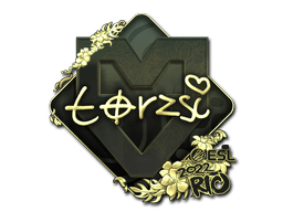 Sticker | torzsi (Gold) | Austin 2025